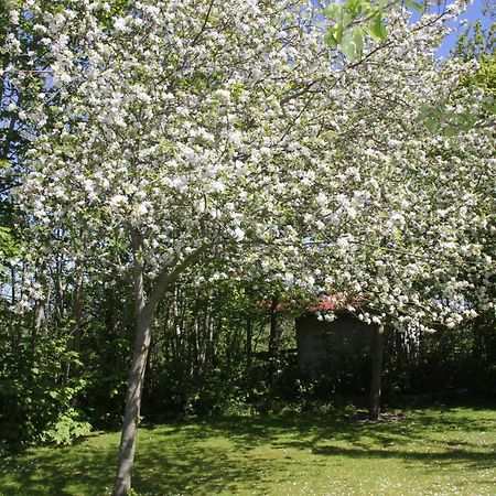 Countryside Eco Natuurhuisjes Ee Eksteriør billede