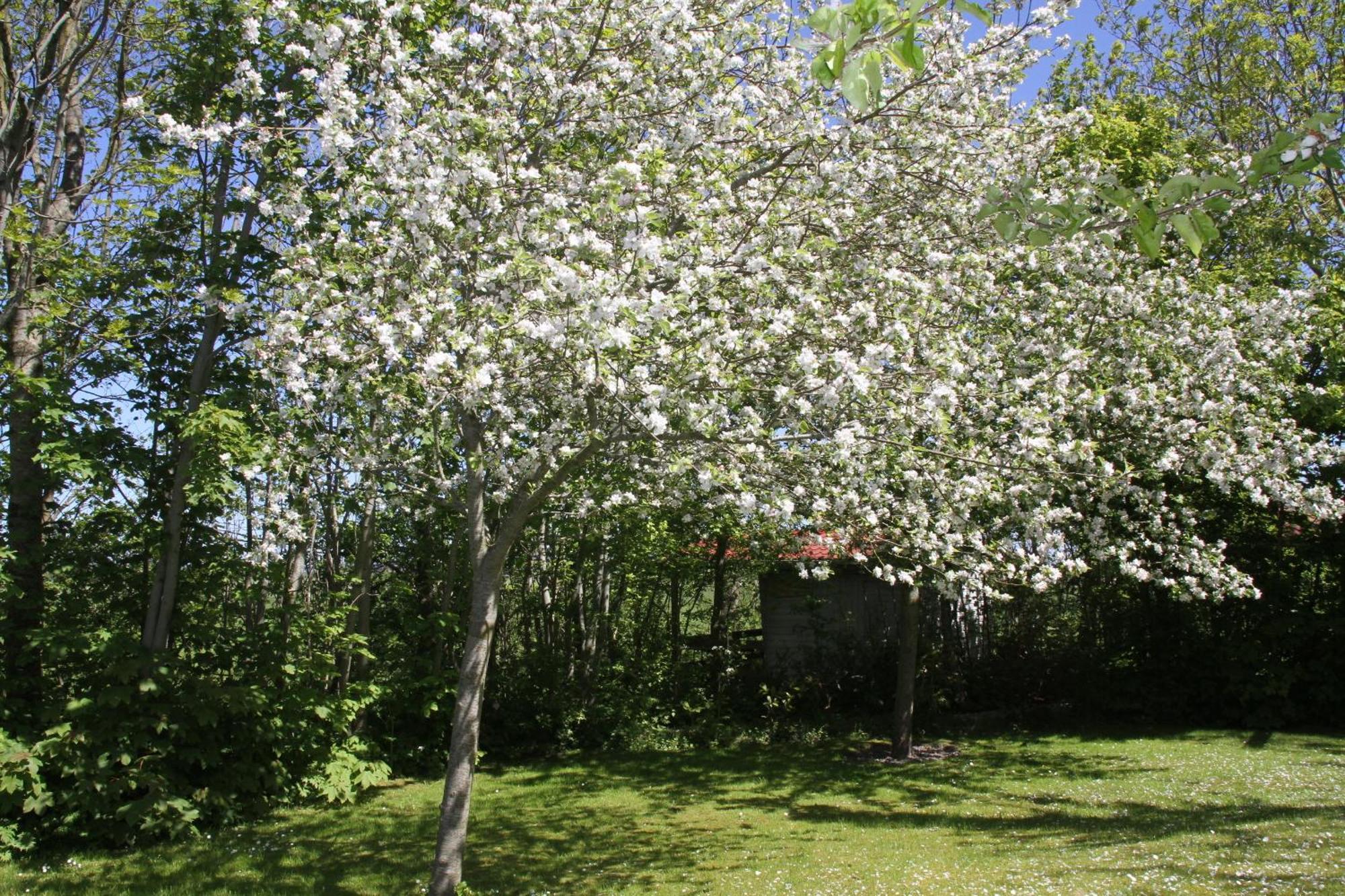 Countryside Eco Natuurhuisjes Ee Eksteriør billede