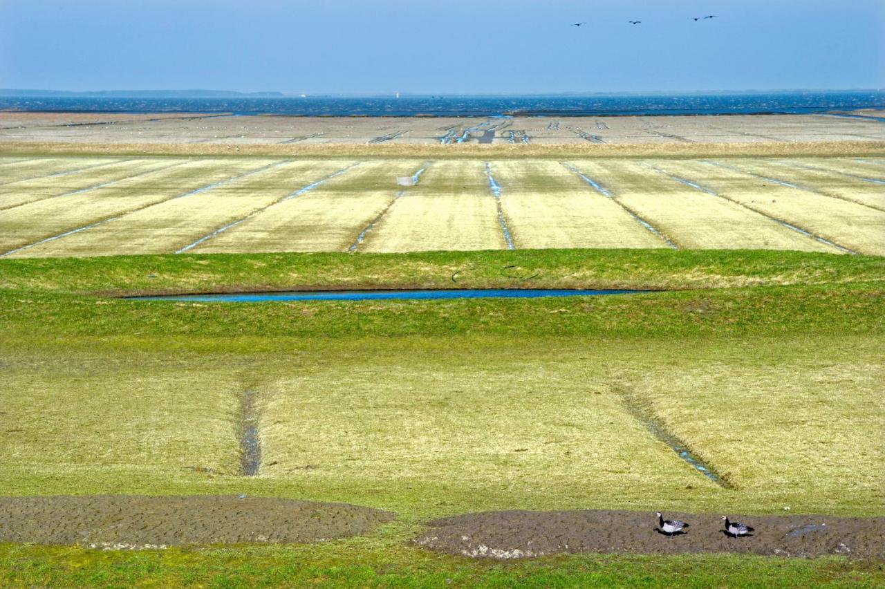 Countryside Eco Natuurhuisjes Ee Eksteriør billede