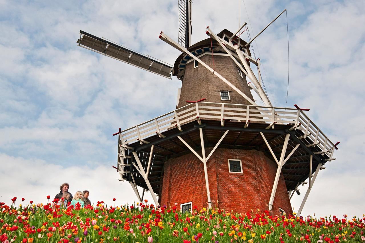 Countryside Eco Natuurhuisjes Ee Eksteriør billede