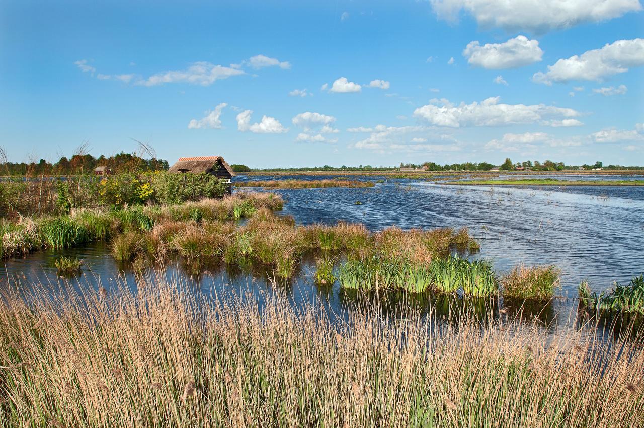 Countryside Eco Natuurhuisjes Ee Eksteriør billede